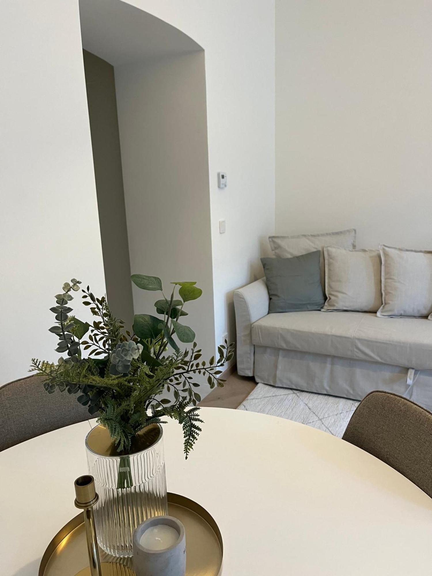 Luxurious One Room Apartment Near Schoenbrunn Palace Bécs Kültér fotó